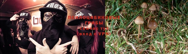 прущий лед Лихославль