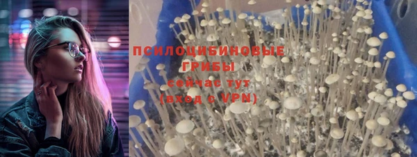 гашик Лиски