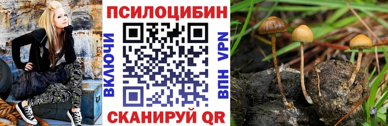 Галлюциногенные грибы мицелий  Купить где  Отрадная 